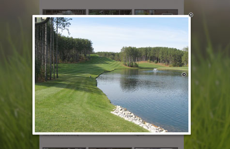 Peel Landscaping A Wingfield Digital Project