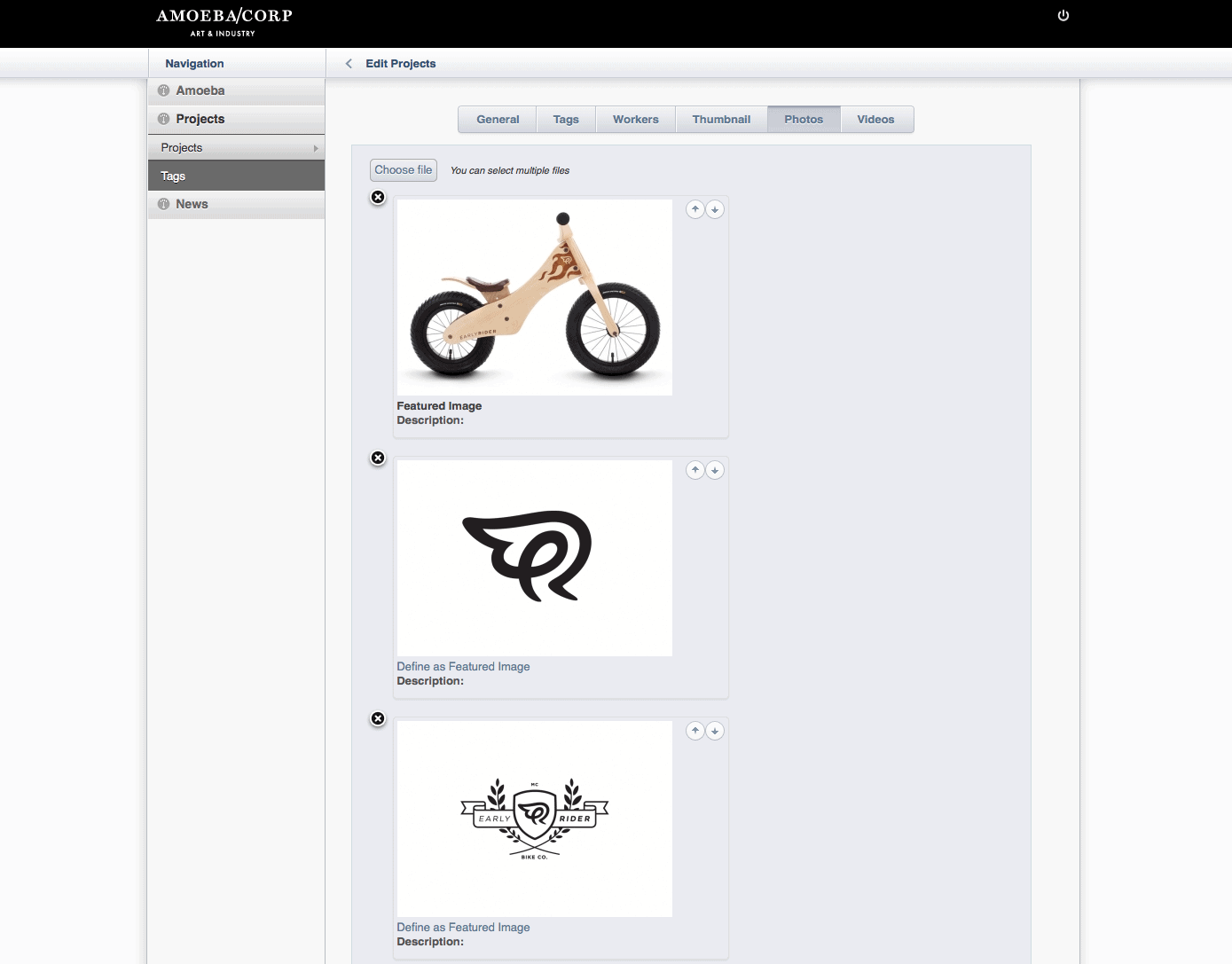 Amoeba Corp A Wingfield Digital Project