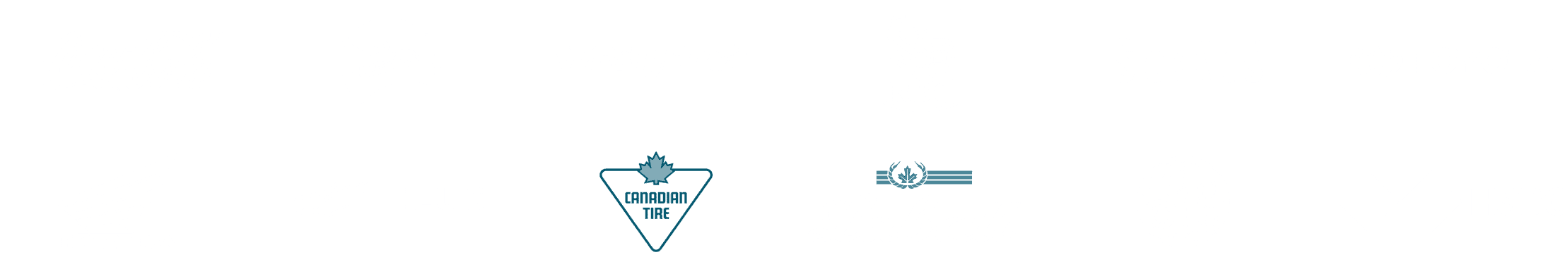 Wingfield Digital Client Portfolio Showcase